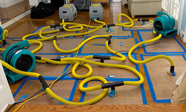 Professional Burst Pipe Water Damage technician working in Newport, TN